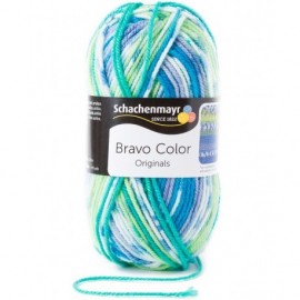 Schachenmayr Bravo Color