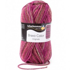 Schachenmayr Bravo Color