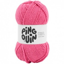 Pingouin Pingo First 6