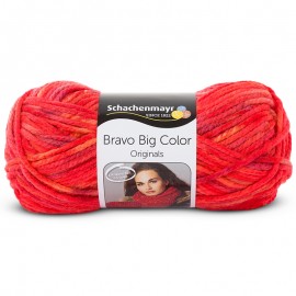 Schachenmayr Bravo Big Color