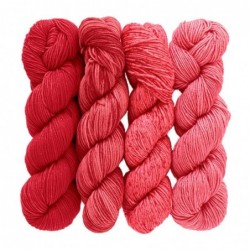 Kit Urth Yarns Merino Gradient