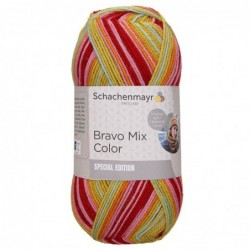 Schachenmayr Bravo Mix Color